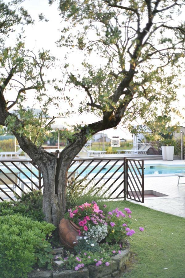 Vista Parco Bed & Breakfast